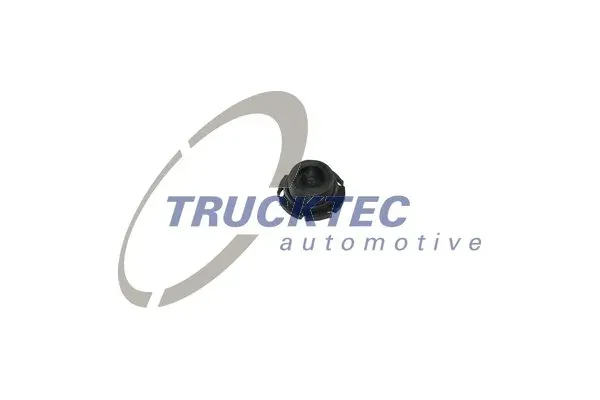 Пробка піддона двигуна 0818010 Trucktec