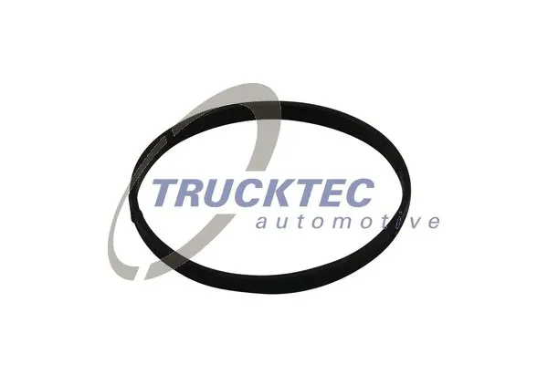 Прокладка дросельної заслінки 0214174 Trucktec