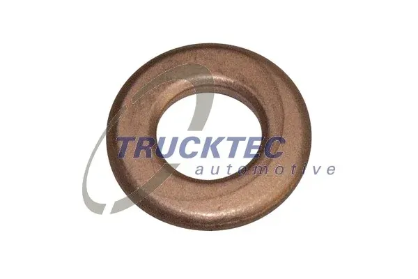 Кільце форсунки 0210079 Trucktec