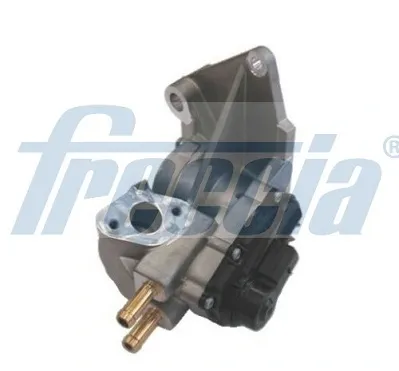 Клапан ЄГР EGR12195 Freccia