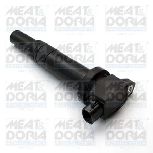 10623 MEAT&DORIA