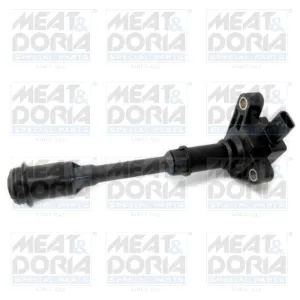 10768 MEAT&DORIA
