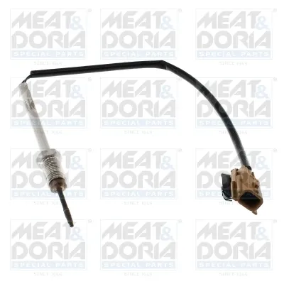 Датчик температури відпрацьованих газів (ВГ), клапан EGR 12186E Meat&Doria