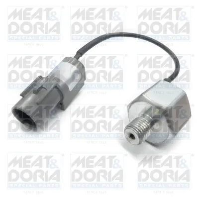 Датчик детонації 87667 Meat&Doria