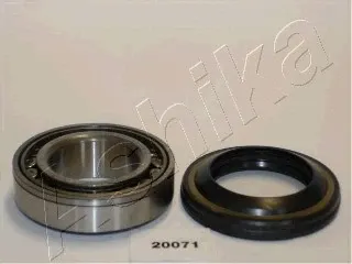 Підшипник задньої ступиці 4420071 Ashika