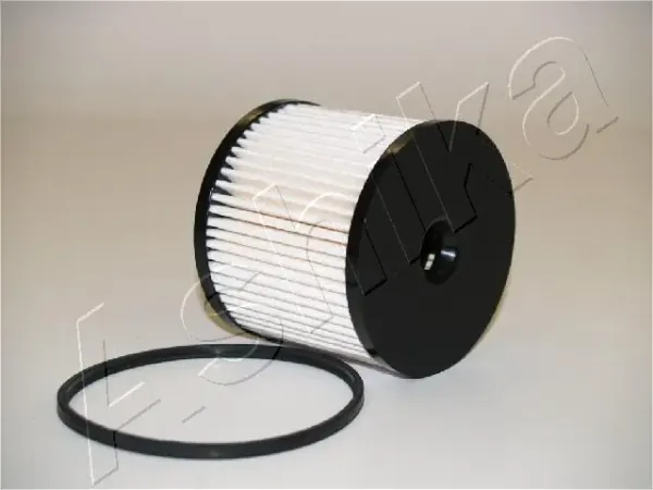 Паливний фільтр 30ECO019 Ashika