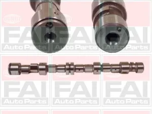 C243 FAI