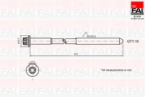 B1018 FAI