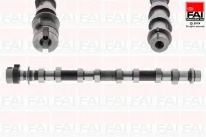 C409 FAI
