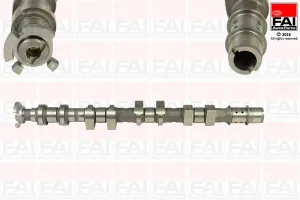 C368 FAI