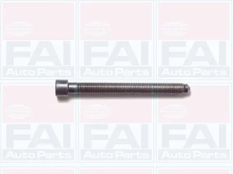Болт ГБЦ B1006 FAI