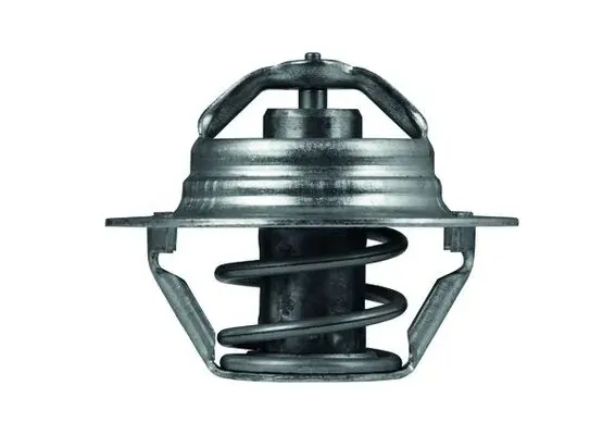 Термостат TX10089D Mahle Original