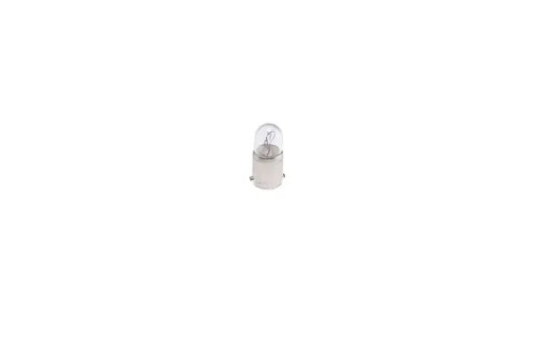 Лампочка 1987302508 Bosch