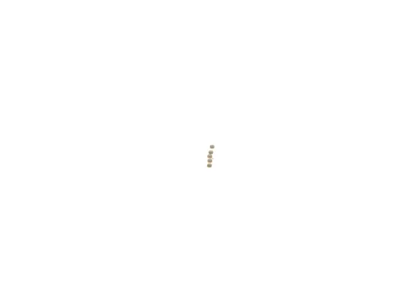  F00ZC99730 Bosch