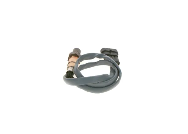  0258006916 Bosch
