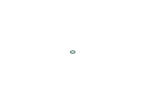  2440210002 Bosch