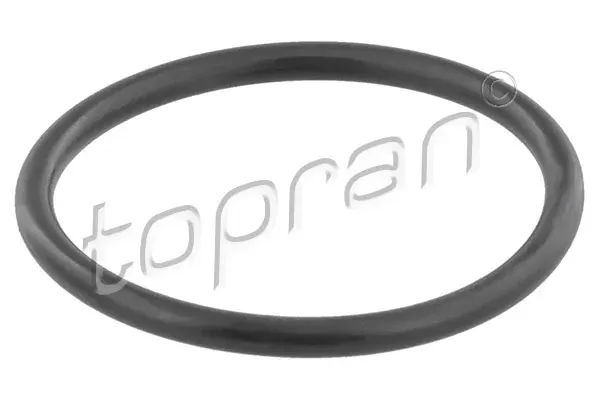 Прокладка термостата 202326 Hans Pries (Topran)