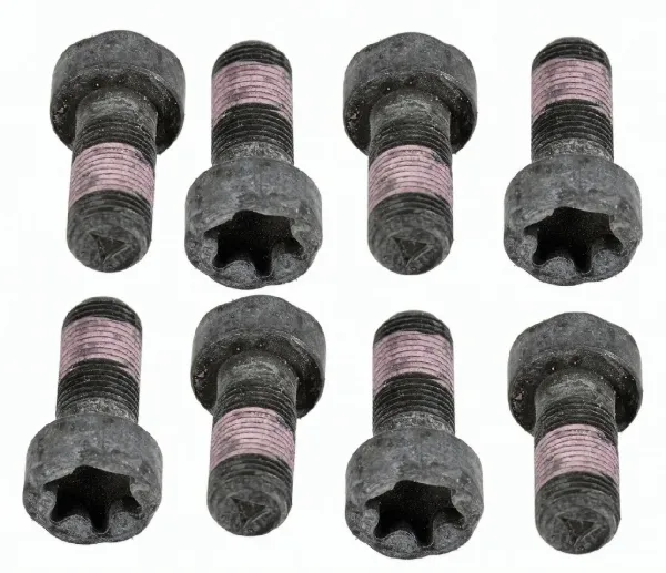 Болт кріплення маховика 1874000050 Sachs