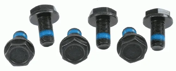Болт кріплення маховика 3096005000 Sachs
