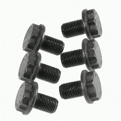 Болт кріплення маховика 1874000033 Sachs