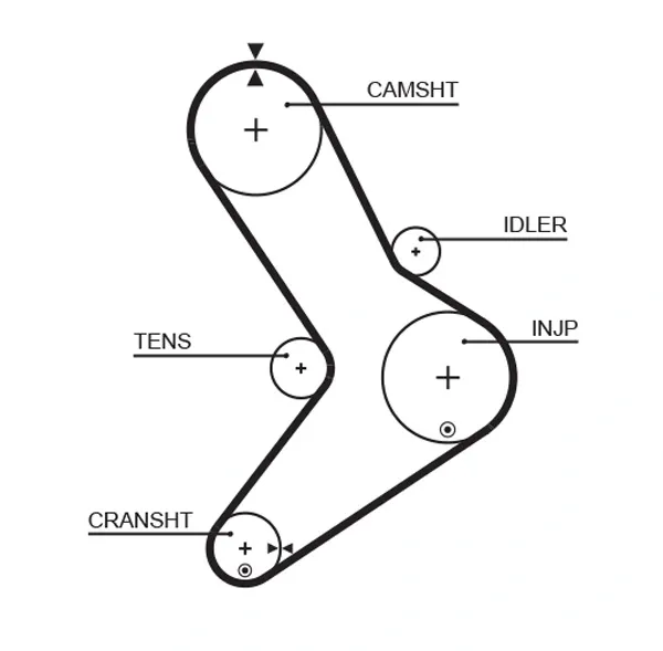Ремінь ГРМ Fiat Ducato II