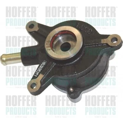 Вакуумний насос 8091088 Hoffer