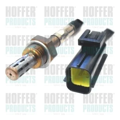  7481056 Hoffer