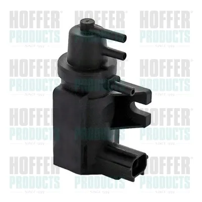  8029536 Hoffer