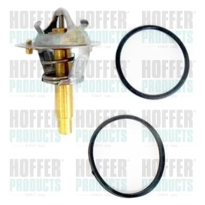 Термостат 8192695 Hoffer