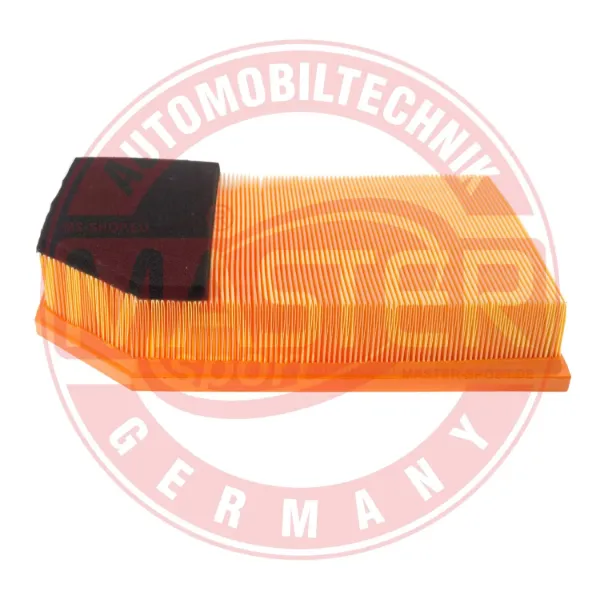 Повітряний фільтр 33194LFPCSMS Master-sport