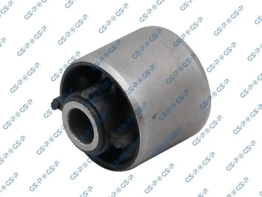  517255 GSP