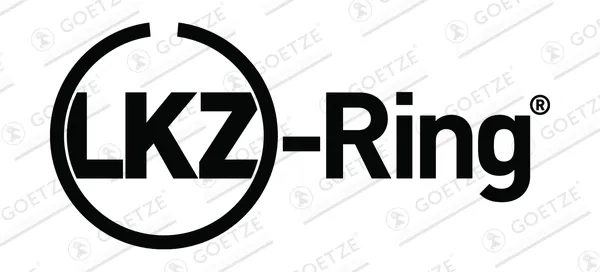 Кільця поршневі на 1 циліндр, STD. 0844290010 Goetze
