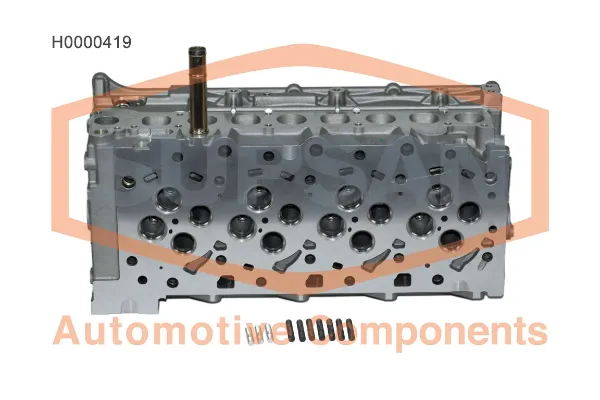 H0000419 Supsan Головка циліндрів