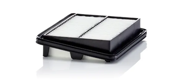 Повітряний фільтр C22060 Mann-Filter