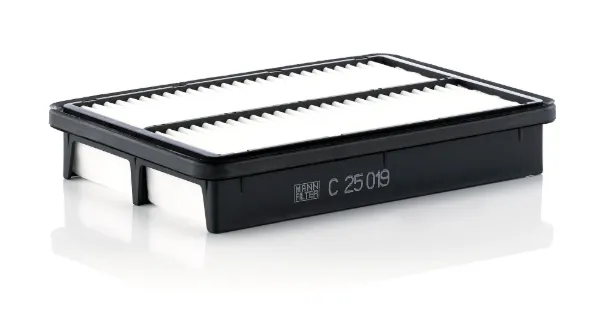 Повітряний фільтр C25019 Mann-Filter