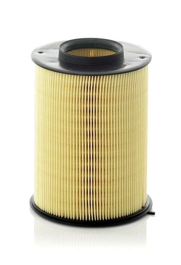 Повітряний фільтр C161341 Mann-Filter