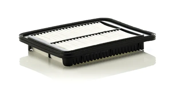 Повітряний фільтр C24010 Mann-Filter