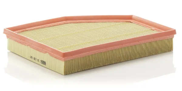 Повітряний фільтр C30139 Mann-Filter