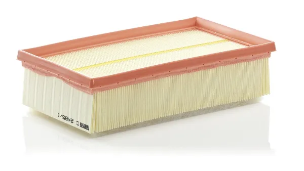 Повітряний фільтр C24851 Mann-Filter
