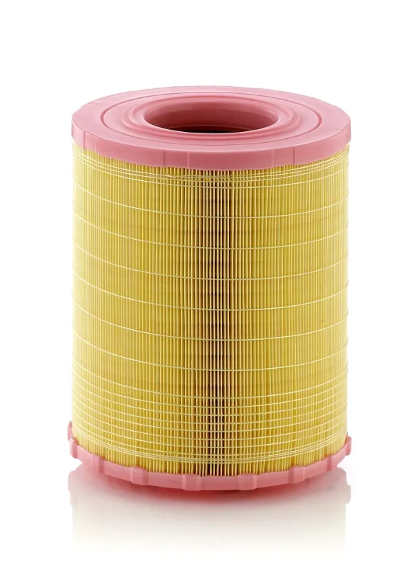 Повітряний фільтр C29010 Mann-Filter