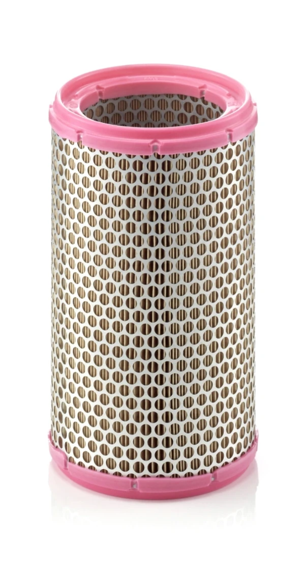 Повітряний фільтр C15893 Mann-Filter
