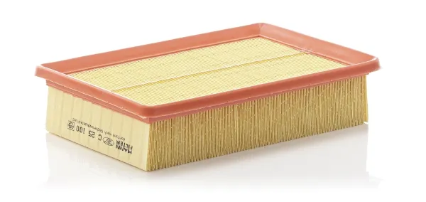 Повітряний фільтр C25100 Mann-Filter