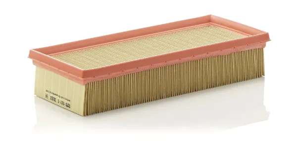 Повітряний фільтр C3093 Mann-Filter