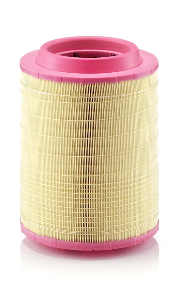 Повітряний фільтр C256602 Mann-Filter