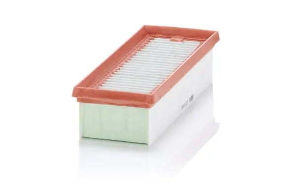Повітряний фільтр C27010 Mann-Filter
