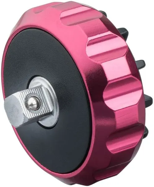  V2941 Vignal