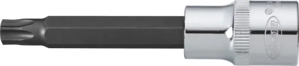  V2172 Vignal