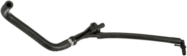  R19854 Rapro