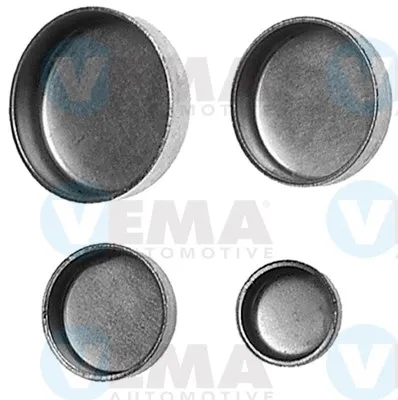 Заглушка блоку циліндрів Fiat Ducato II