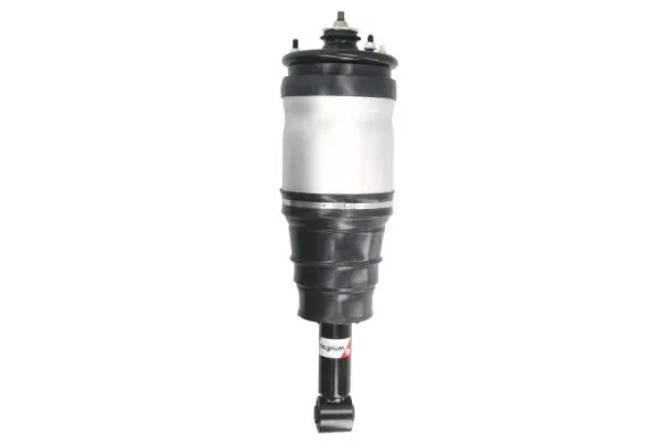 Амортизатор задній LR016419 Hotbray